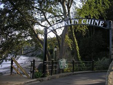 shanklin_chine_gardens